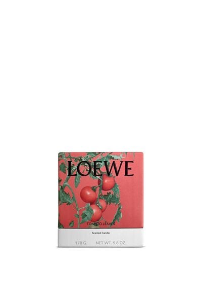  Nến LOEWE Tomato Leaves 170gr 