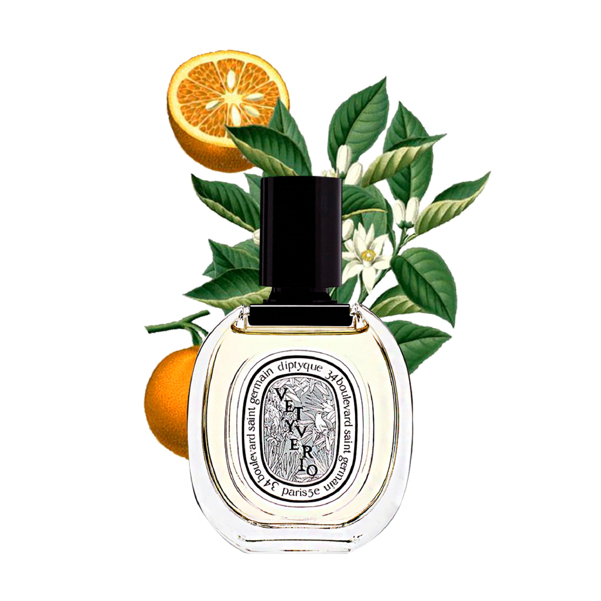  Nước hoa DIPTYQUE Vetyverio 100ml 