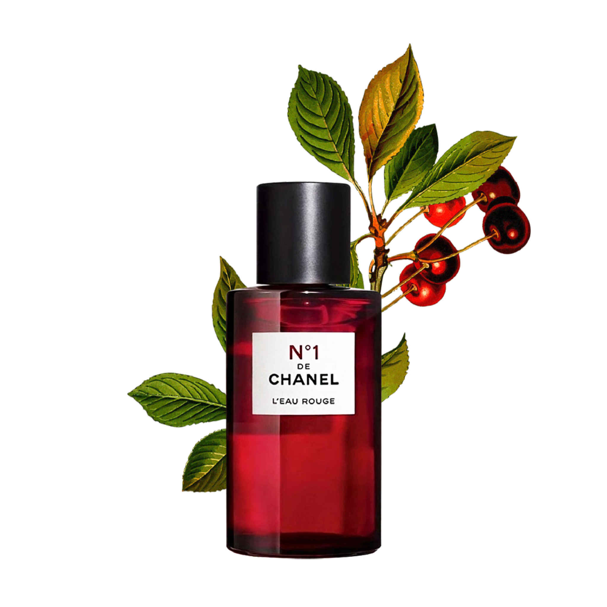 Xịt Thơm Toàn Thân Hương Nước Hoa Chanel N1 De Chanel Leau Rouge 100ML   NIPERFUME