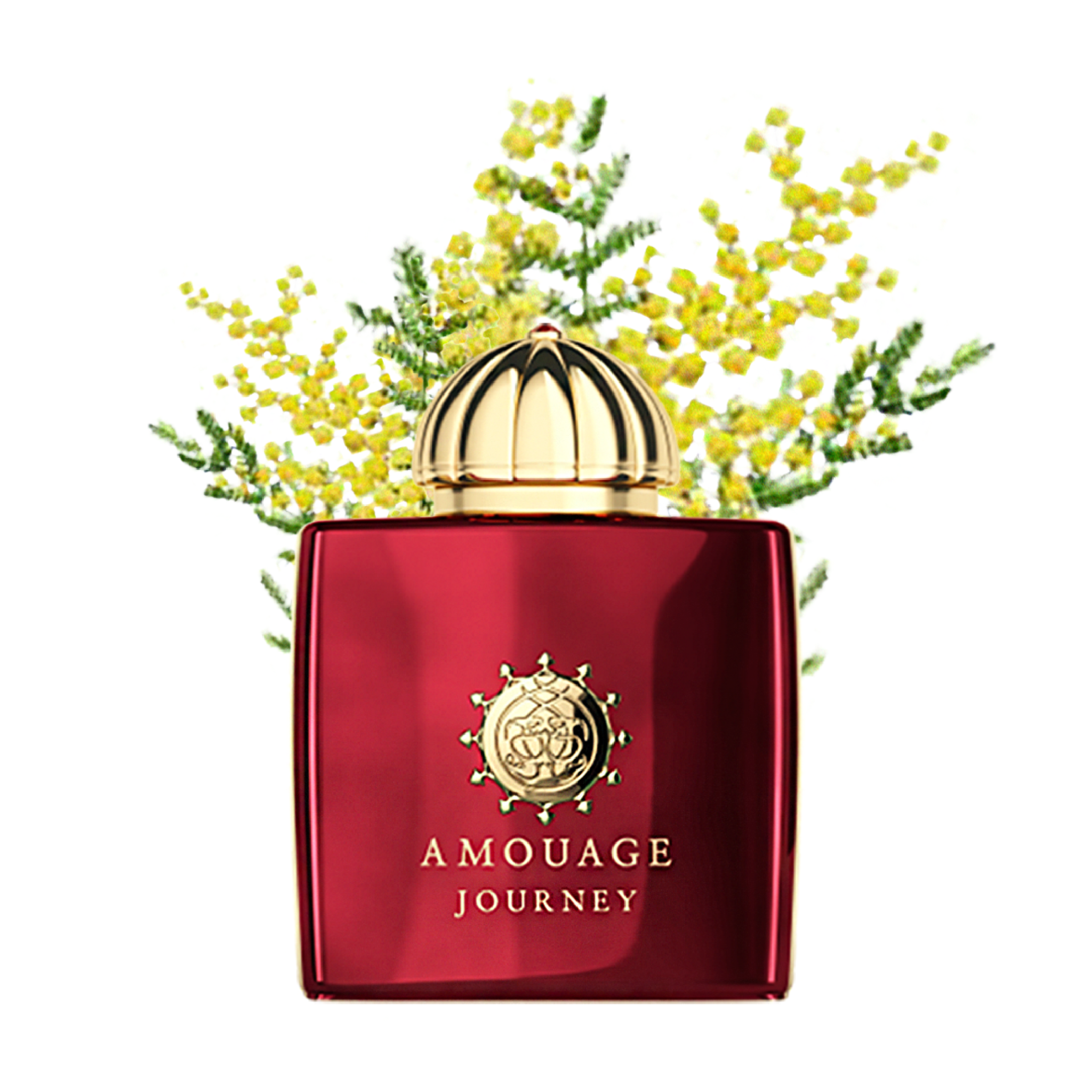  Nước hoa Amouage Journey 100ml 