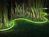  Đèn LED ngoài trời Philips Hue Lightstrip Outdoor 5m 
