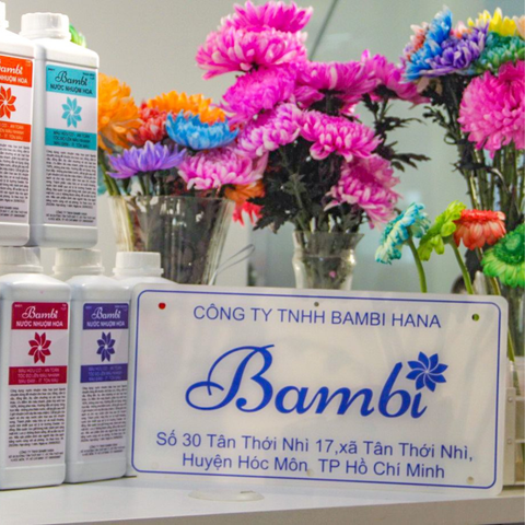  Nước Nhuộm Hoa Hữu Cơ Bambi Hana chai 1L giúp đổi màu hoa lên màu nhanh an toàn 
