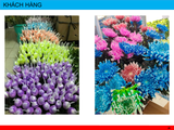  Combo 10 gói nước dưỡng hoa Bambi Hana giúp hoa tươi lâu đến 5 lần giữ nước cắm sạch không bị hôi 