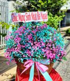  Nước Nhuộm Hoa Hữu Cơ Bambi Hana chai 1L giúp đổi màu hoa lên màu nhanh an toàn 