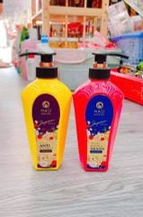 Dầu gội làm sạch và ngăn ngừa gàu HASI
