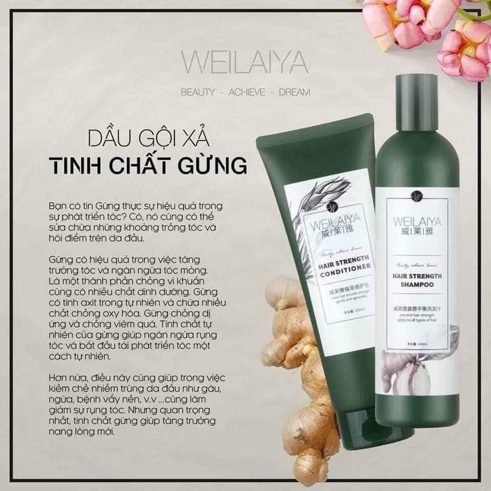 Bộ dầu gội Gừng Weilaiya