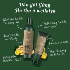 Bộ dầu gội Gừng Weilaiya