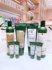 Bộ dầu gội Gừng Weilaiya