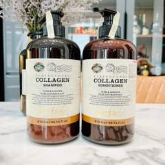 Dầu gội Mefaso Collagen
