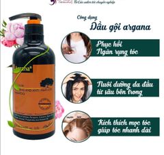 Dầu xả phục hồi & ngăn rụng tóc Argana 500ml