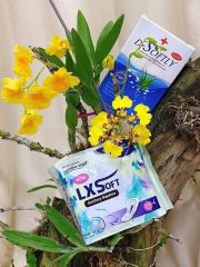 Bắng vệ sinh LX Soft
