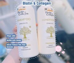Dầu gội BIOTIN & COLLAGEN 500ML