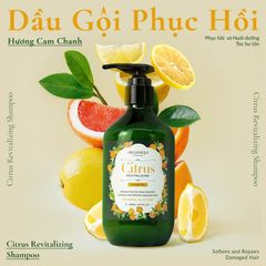 Dầu gội phục hồi Cam chanh Organique Revilitazing  500ml