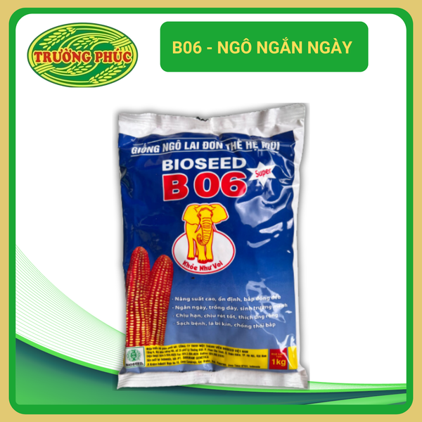  B06 - Ngô ( bắp ) ngắn ngày (1kg) 