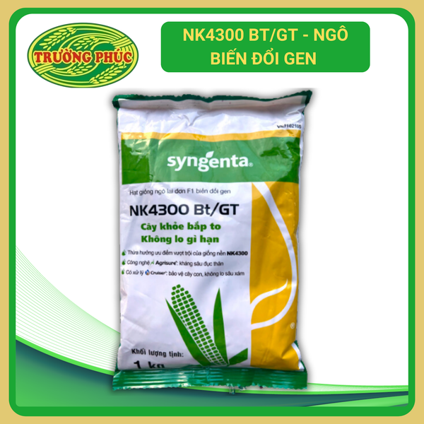 Đoàn Ngô NK7328 - Ngô lai F1 – Hạt giống Trường Phúc