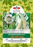 Tím Dẻo 926 - Ngô ( Bắp ) nếp lai F1 