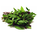  Húng quế (1g) 