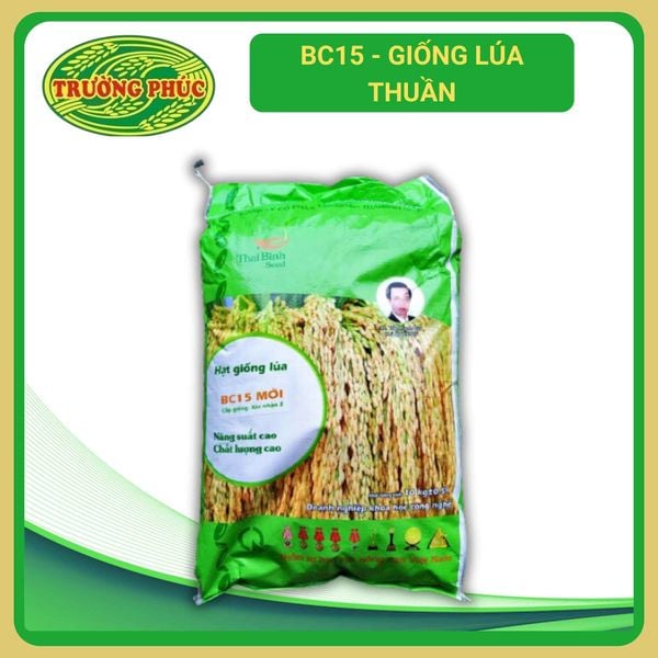  BC15 - Giống lúa thuần (10 kg) 