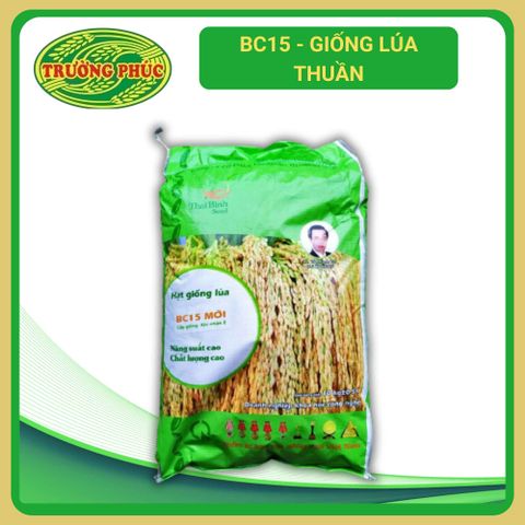 Lúa thuần