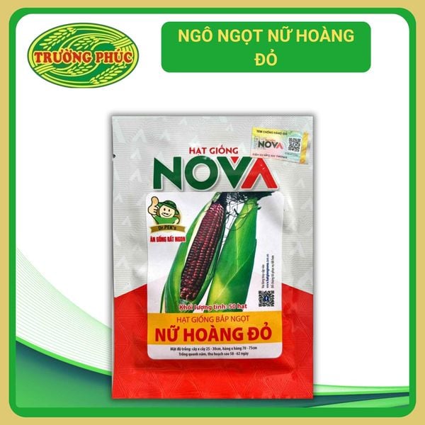  Ngô ngọt nữ hoàng đỏ (50 hạt) 
