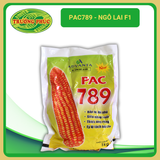  PAC789 - Ngô ( bắp ) lai F1 (1 kg) 