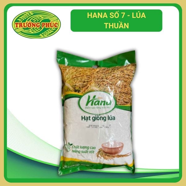  Hana Số 7 - Lúa thuần (1kg) 