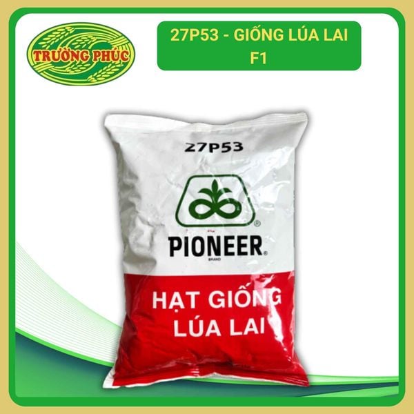  27P53 - Giống lúa lai F1 (1 kg) 
