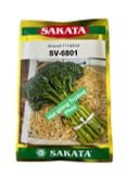  Súp lơ xanh SAKATA SV - 6801 (10g) 