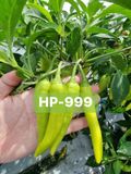  Ớt sừng vàng lai F1 HP-999 (5g) 