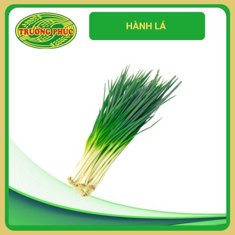 Rau thơm gia vị