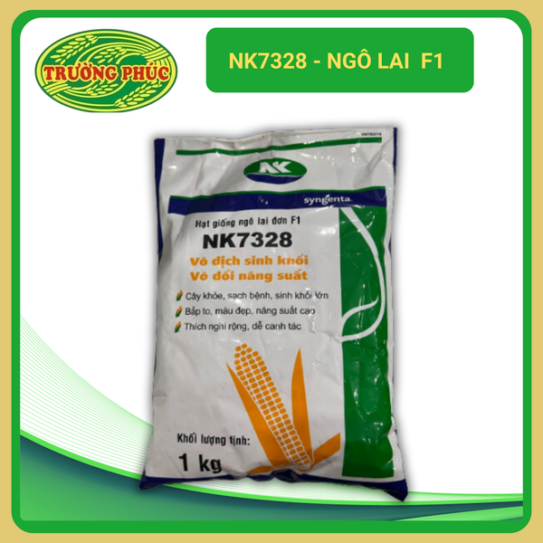 NK4300 Bt/Gt - Giống ngô biến đổi gen – Hạt giống Trường Phúc