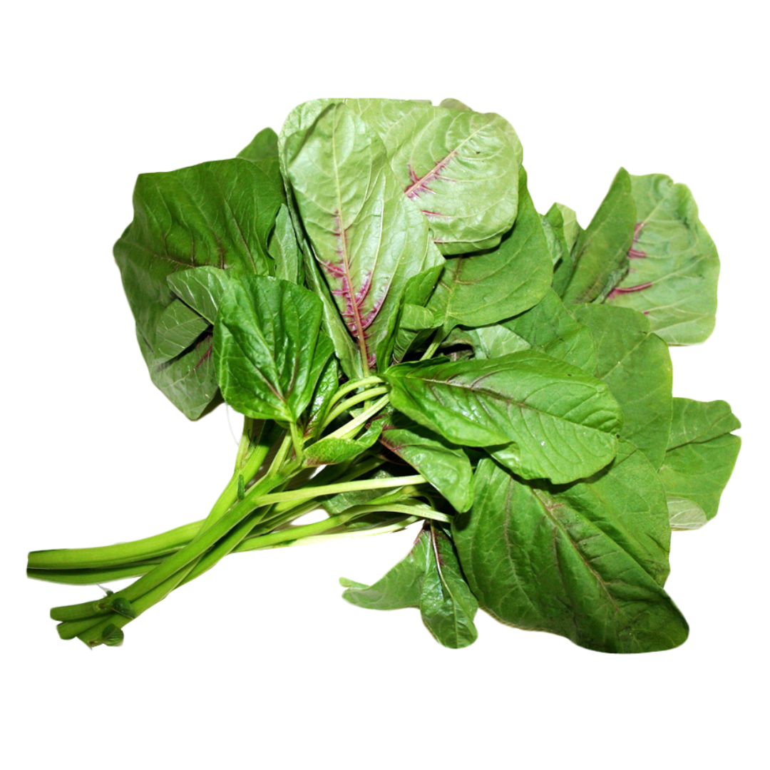  Rau dền nhiều màu (20g) 