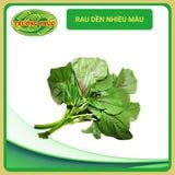  Rau dền nhiều màu (20g) 