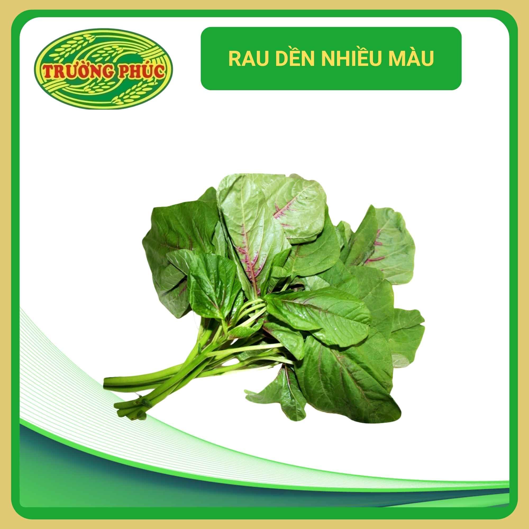  Rau dền nhiều màu (20g) 