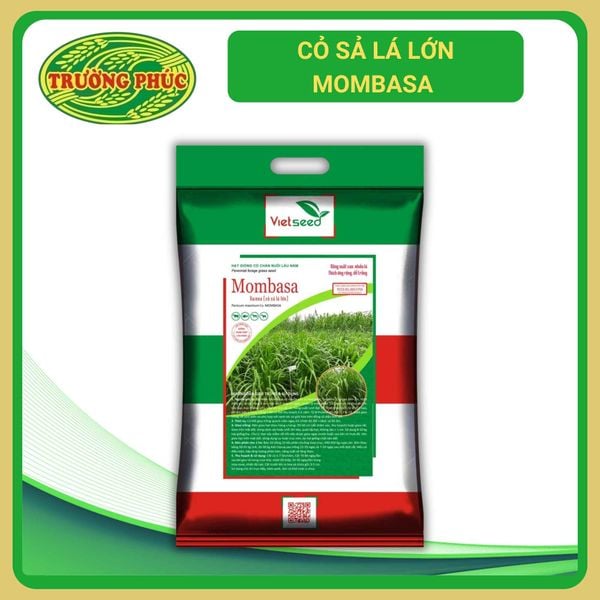  Cỏ Sả lá lớn Mombasa (500g) 