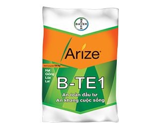  B-TE1 - Giống lúa lai F1 (1 kg) 