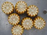  B06 - Ngô ( bắp ) ngắn ngày (1kg) 