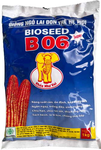  B06 - Ngô ( bắp ) ngắn ngày (1kg) 