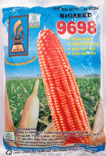  B 9698 - Ngô ( Bắp ) ngắn ngày (1 kg) 