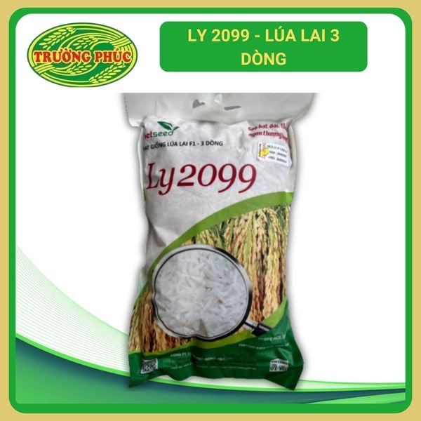  LY 2099 - Lúa lai 3 dòng (1kg) 