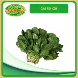  Cải bó xôi (20g) 