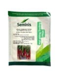  Ớt cay lai F1 Seminis Hot Chilli (5g) 