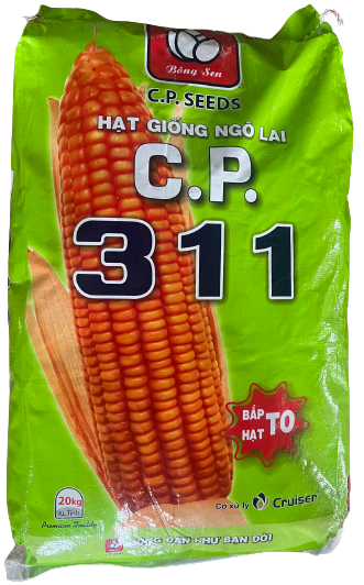  CP311 - Ngô ( bắp ) lai F1 (1kg) 