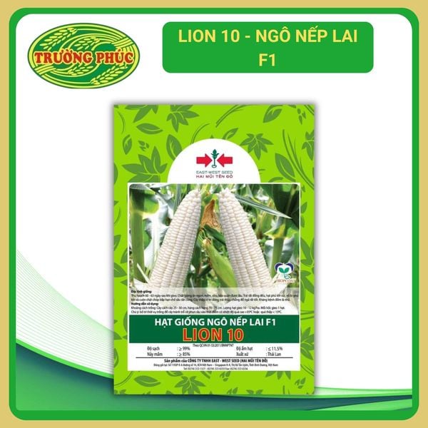 SD 268 HMT - Ngô nếp lai F1 (100 g) – Hạt giống Trường Phúc