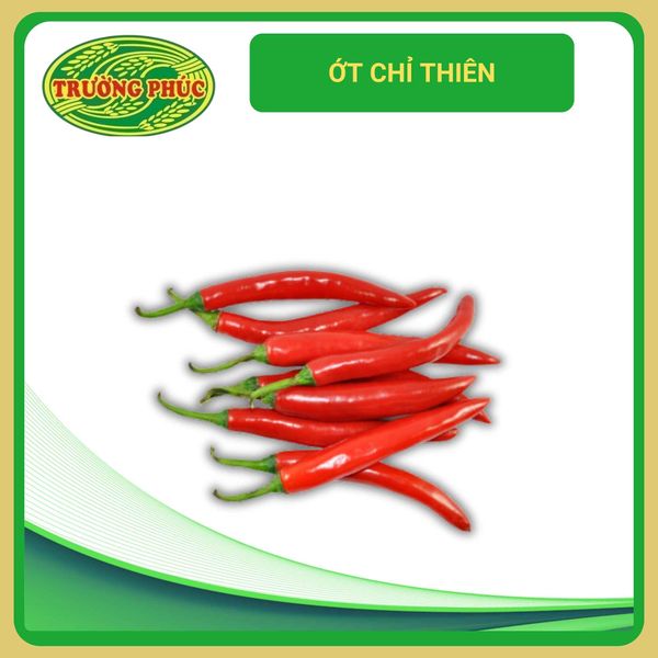 Ớt chỉ thiên lai F1 (0.5g) 