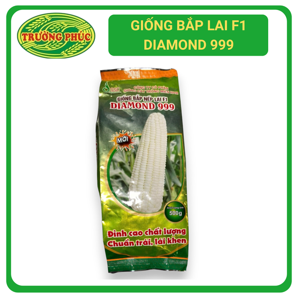  Bắp nếp lai F1 Diamond 999 