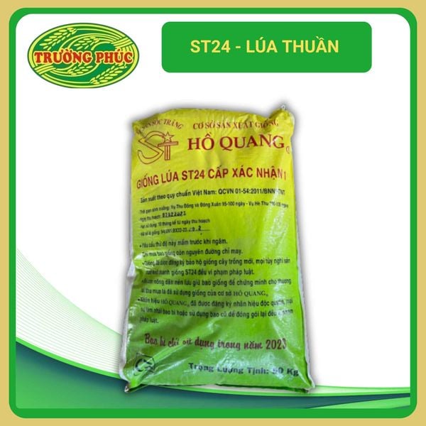  ST24 - Lúa thuần (1 kg) 