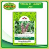  Tím Hoa 35 - Ngô ( bắp ) nếp lai F1 (100g) 