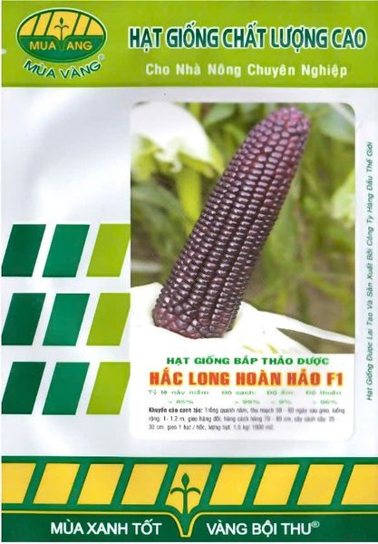  Hắc Long - Ngô ( bắp) nếp tím lai F1 (50g) 