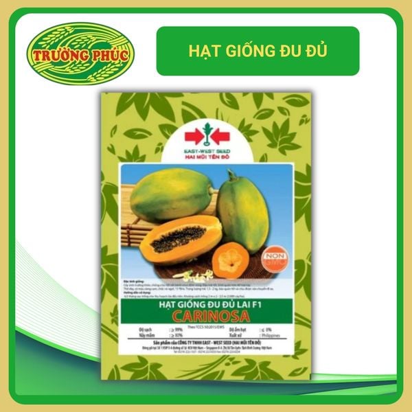  Đu đủ lùn lai F1 Carinosa (20 hạt) 